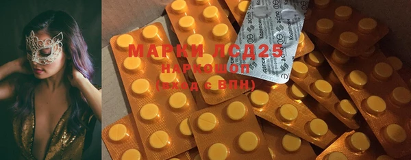 стаф Новозыбков