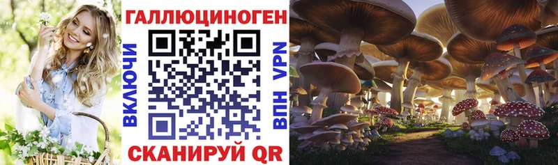 Псилоцибиновые грибы Psilocybine cubensis  Купить  Армавир
